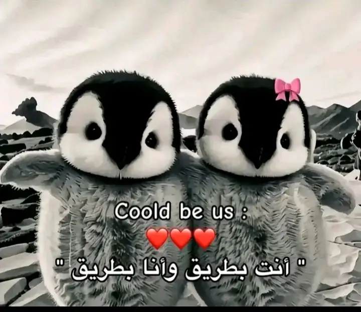 انت بطريق واني بطريق 🐧😂💋