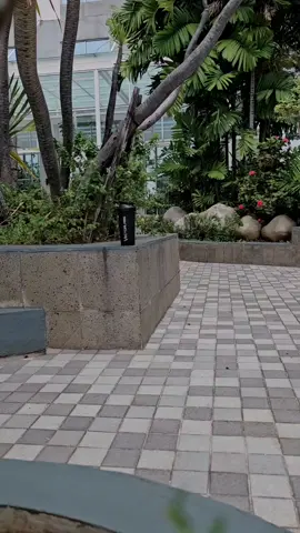 #coachfei #coachfeinduth #freelancepersonaltrainer #freelancepersonaltrainerbandung #trainergymcewekbandung #trainergymcewebandung #trainergymcewe #trainergymwanitabandung #trainergymwanita #personaltrainercewekbandung #personaltrainercewebandung #personaltrainergymbandung #freelance 