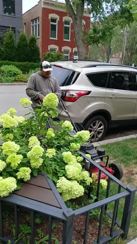 #viralvideo 