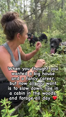 Real talk. I had the fancy career. The nice car. The newly remodeled house with the perfect kitchen. Yearly beach vacations. Were we really happy, though? Is this really what “living” is all about? I don’t think so. While life was comfortable, it still felt empty and unfulfilling. We were exhausted from the rat race. I quit my job and we traded it all for a tiny cabin in the woods with an outhouse and green carpet in the kitchen, a dumpy old car that dies all the time, bugs galore, and we haven’t taken a vacation in years. Why? For the first time, we truly feel free. Free from societal pressures. Escape from the noise. Freedom to create the life WE actually want. Freedom to just be. I’ll take a day in the woods over a beach vacation any day. Anyone else? Would you trade it all for a tiny cabin in the woods? 😅 #slowdownandenjoylife #selfsufficientliving #homesteading #growyourownfood 
