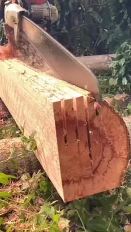 #makingboards #sawmill #satisfyingcut #woodprocessing 