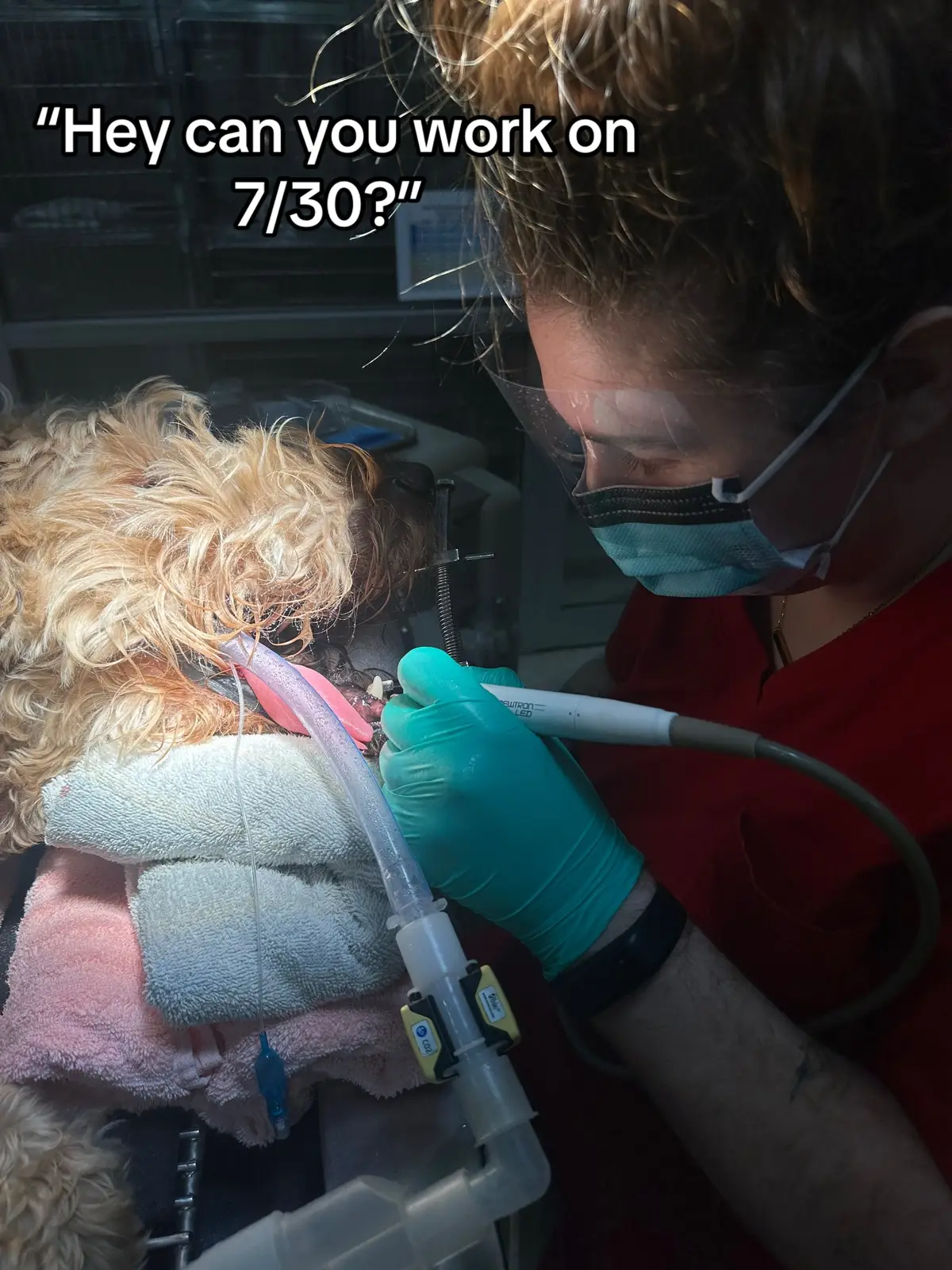 Today’s the day 🔥 @RUSS #RUSS #austintx #ATX 