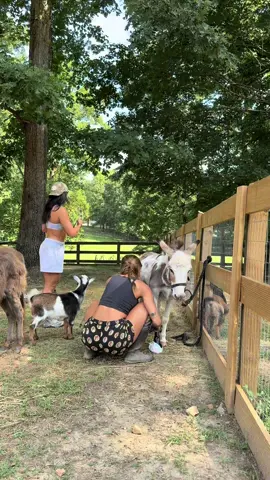 tips and tricks with farmer ski