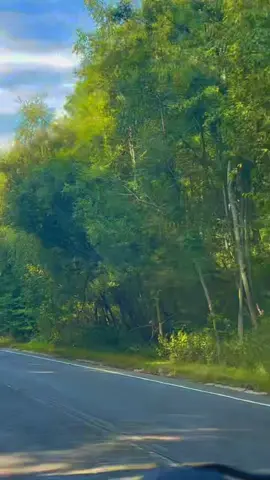 #sartaj#songs💞#fypp😍😍#trending#songs