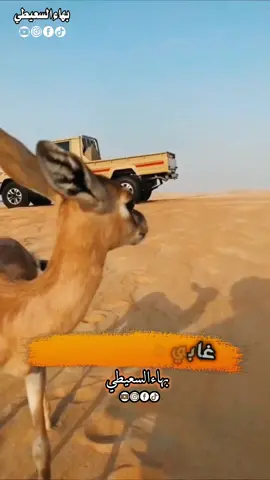 خلك ياعيني _ صلاح الورفلي  #foryou #fyp #trending  #اغاني #بهاء_السعيطي 