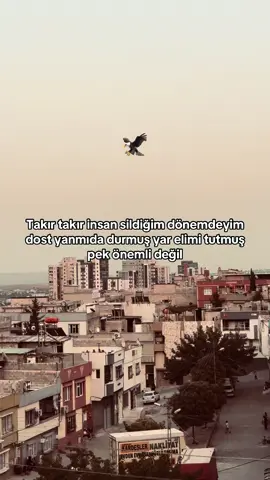 𝐑𝐀𝐂𝐎𝐍 𝐒𝐎̈𝐙𝐋𝐋𝐄𝐑𝐈̇ 𝐀𝐋𝐀𝐋𝐈𝐌🗽#yukselx272 #keşfet #storytime #fypシ゚ #fypage #viralvídeos @Mehmet Karaçalı 