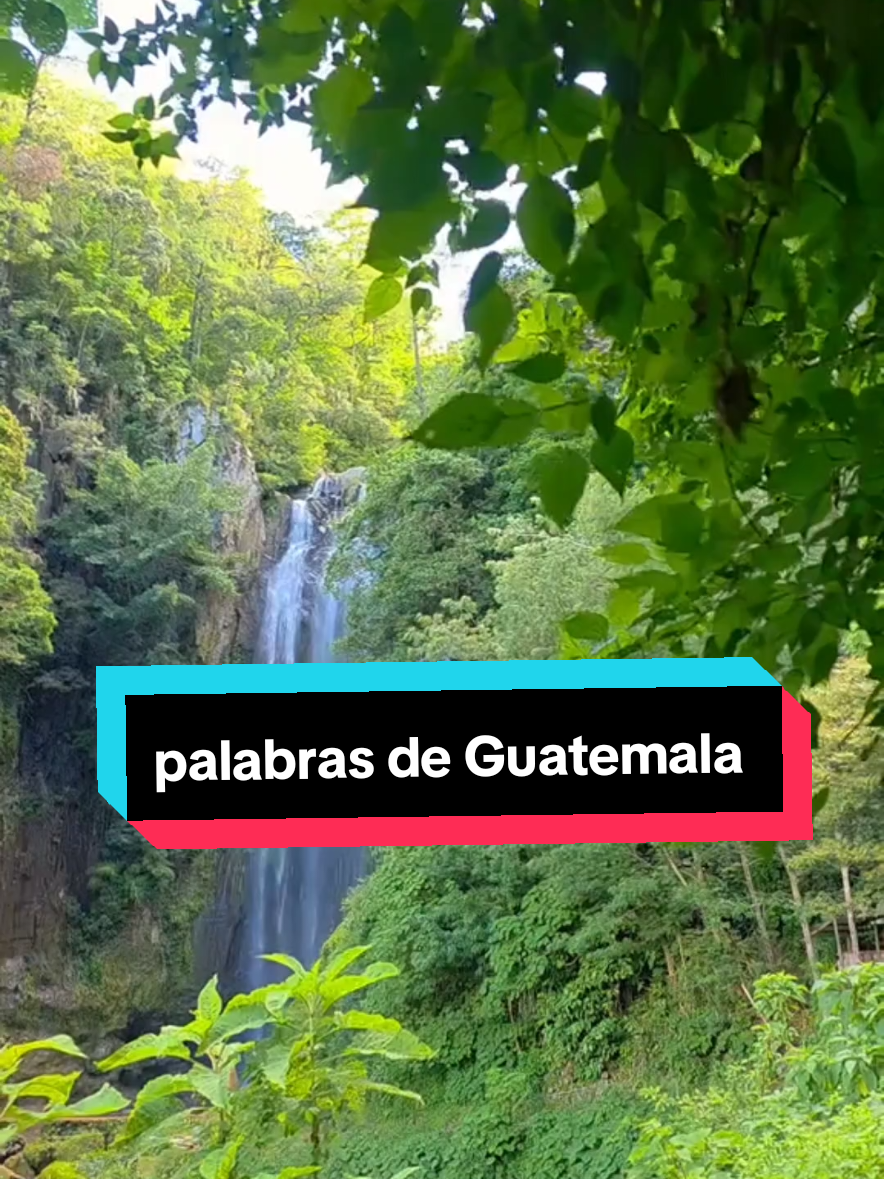 palabras de Guatemala #chapinesenusa🇬🇹💙🇺🇸 #guatemala🇬🇹 #fyp #parati 