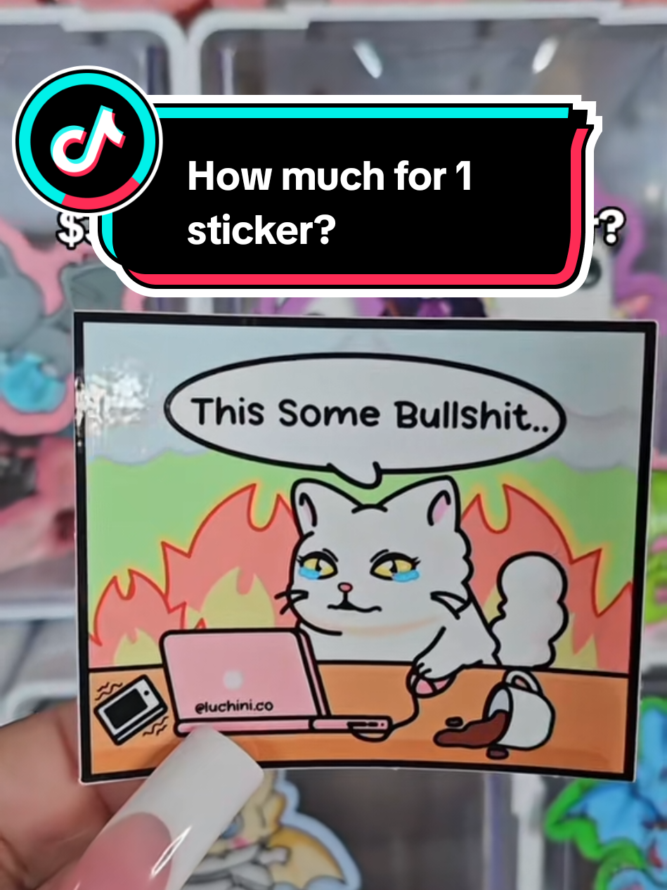 I meann... if you like high quality REUSABLE stickers then you need these.. js 😌✨️🩷