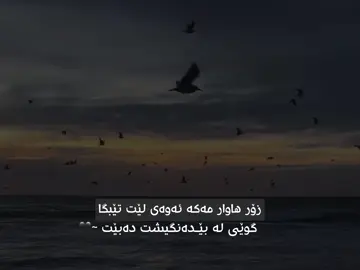 #ahmad_fahmii #harki Activee🖤