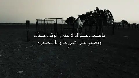 تصبر على شيٍ ماودك تصبره #قصيد #اكسبلور #هواجيس #شعر #ترند #اقتباسات #تصويري📷 