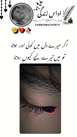 #sadlinse🥺💔 #udaaszindgai #FarmanTypist 