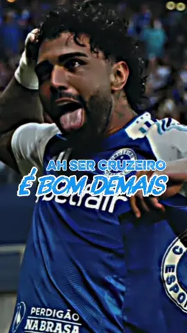 Ah ser Cruzeiro é bom demais 💙🤍 #cruzeiro #bielzeiro #maiordeminas #cabuloso 