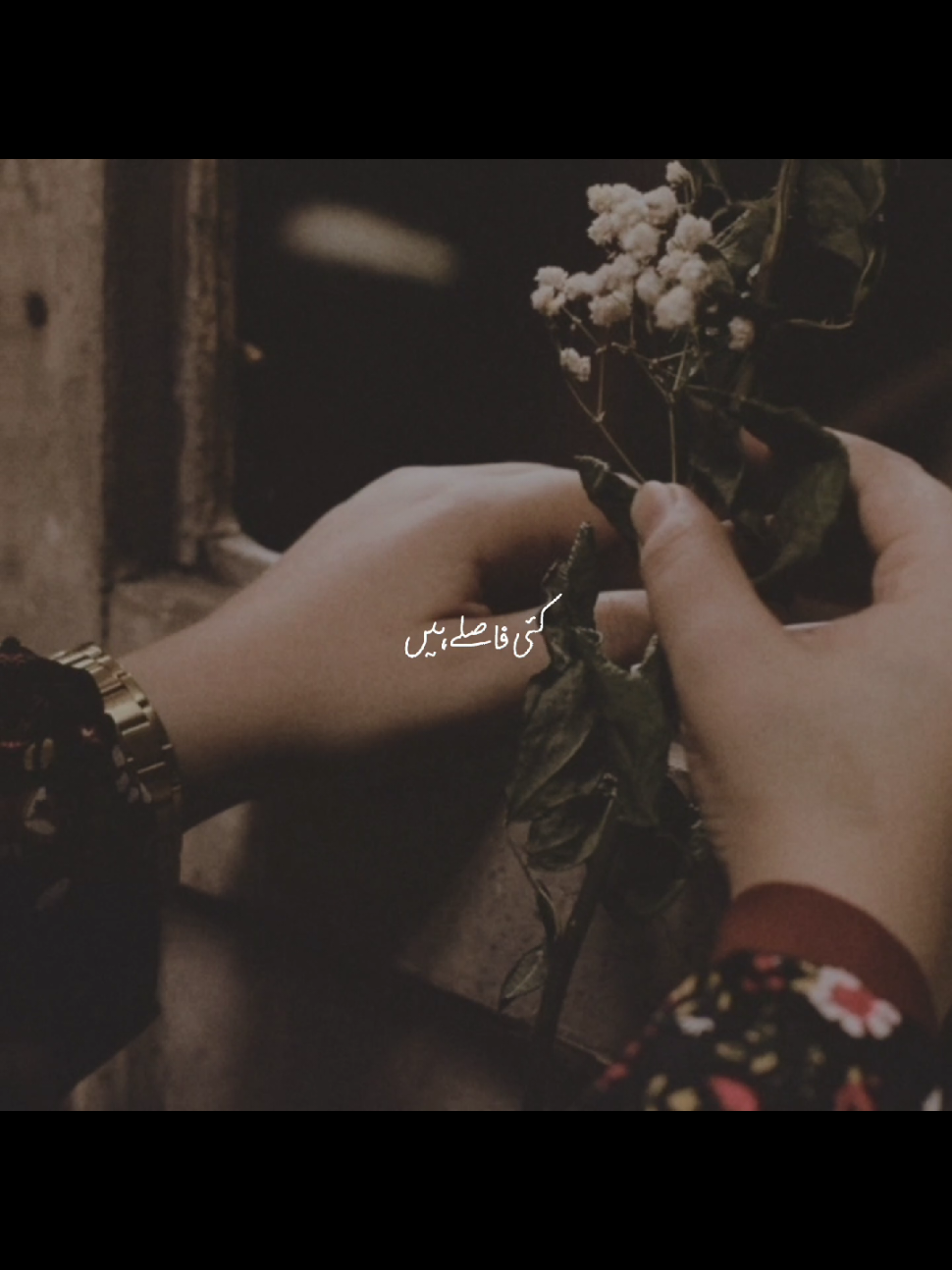 kisy pocho songs  #fyp #foryou #foryoupage #songslyrics 