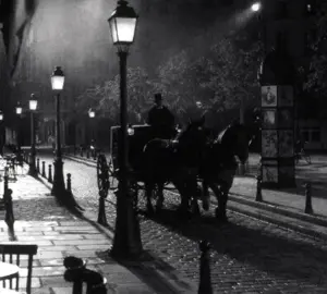 Victorian nights #darkfantasy #victoriangoth #moodboard #fyp #aestheticedits #fantasybooktok #nosferatu 