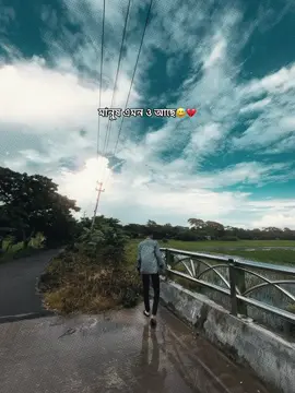 #CapCut Song😅🥺 #newtrending #template #foryou #foryoupage 