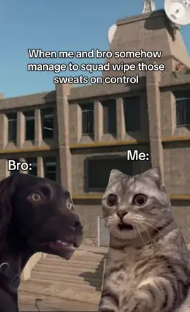 #warzone #rebirthisland #rebirth #resurgence #callofduty #funny #fyp 