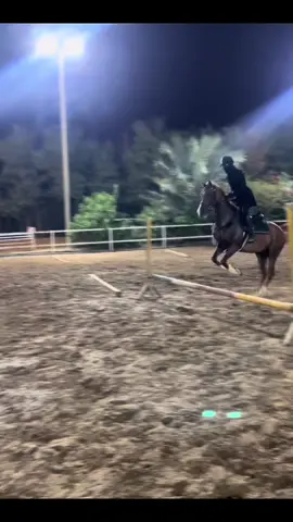 اقوى طيحه من كِندا 😔#لايك #فارسه #قفز_حواجز #كومنت #fyp #viral #Horse #like #axsblor #نادي_فيوشتر_هورس #لايك__explore___ #مالي_خلق_احط_هاشتاقات #لايك_متابعه_اكسبلور #جيزان_ابوعريش #اكسبلوررر #الانتشارالسريع #الشعب_الصيني_ماله_حل😂😂 