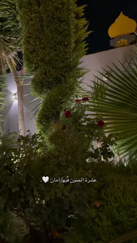 #explore #fyp #foryou #عبارات #اقتباسات 