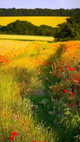 С ПОСЛЕДНИМ, ИЮЛЬСКИМ ДЕНЬКОМ.☀️
