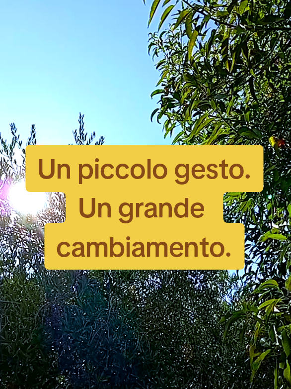 ✨ Non serve essere perfetti per iniziare. Un passo alla volta, verso uno stile di vita più naturale. 🌿 💬 Leggi di più sul nostro blog: bamgoboo.com/blog #Bamgoboo #ecotok #ecoshop #gogreen #SostenibileConStile #VitaGreen #EcoScelte #ZeroWasteLife #CotoneBio #BambùPower #SlowLiving 