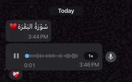 أَتَأْمُرُونَ ٱلنَّاسَ بِالْبِرِّ وَتَنسَوْنَ أَنْفُسَكُ❤️‍🩹#CapCut #قران_كريم #صلو_على_رسول_الله_صل_الله_عليه_وسلم #رسول_الله_صلى_الله_عليه_وسلم #محمد #الرتش_فى_زمه_الله💔 #momen3boudً 