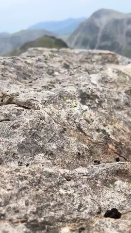 Feel free to use for background #mapper #background #freebackground #naturebackground #nature #mappers #cumbria #saveeuropa☠️ #141 