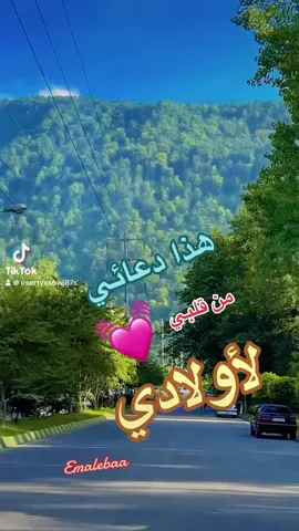 #اللهم #امين_يارب🤲🏻🥀🕊️ #العالمين🤲🕋🕌🤲❤ #اولادي_سر_سعادتي❤️❤️ #احفظهم❤️❤️🤍❤️❤️ #اجعلهم_سّعداء_اينما_گآنوا👌🖤 