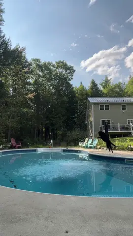 jumping 