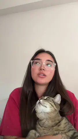 we don’t deserve animals 😭😭😭 #cat #catsoftiktok 