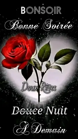 #bonne douce nuit #faite de beaux rêves bisous 😘 #lesbellesames 