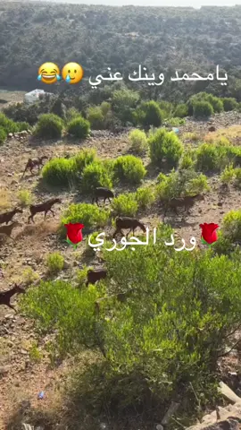 #في هذا اليوم 