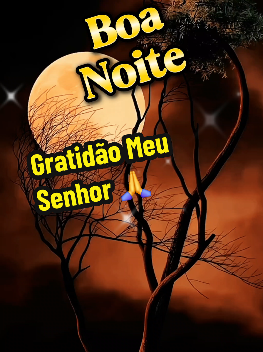 Boa Noite! Obrigado Senhor Por Todas As Bênçãos 🙏 #BoaNoite #gratidaosenhor #gratidaomeudeus #gracadedeus #emnomedejesus 