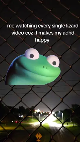 #Meme #lizard #fyp 