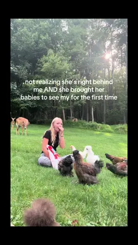i cannot get over this, i love this deer🥲 #fyp #deerseason #farmlife #farmerlife #chickensoftiktok 