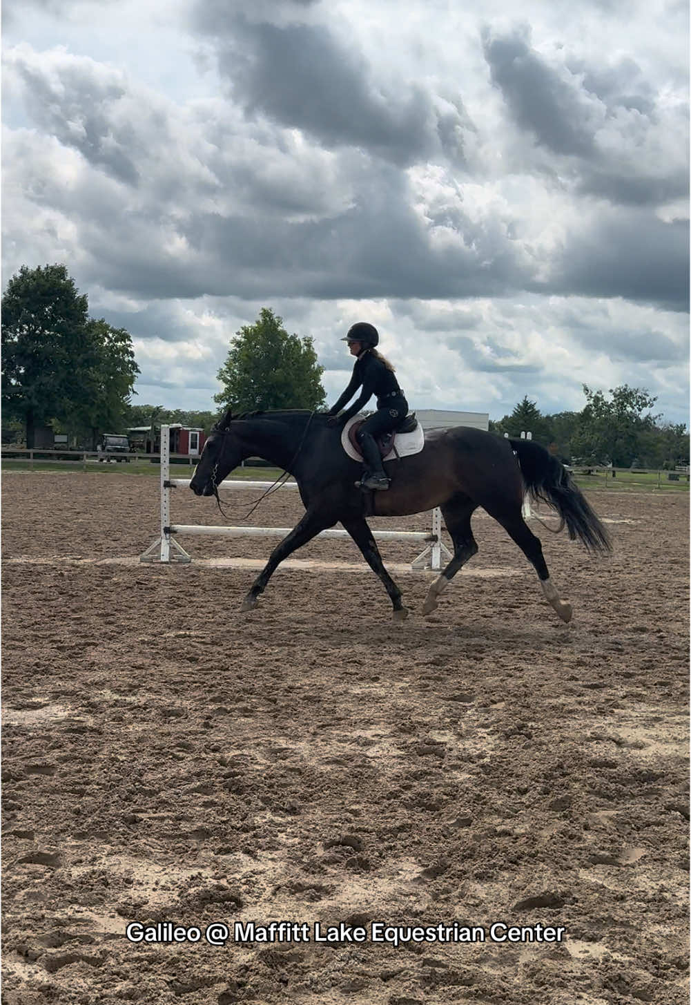Horse show time for Baby Galileo!🙌