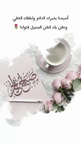 #fyp #foryou #foryoupage #viral #tiktok 