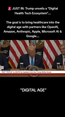 A DIGITAL AGE IN SIMPLER TERMS IS THE BEAST SYSTEM 