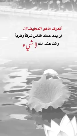 ان يمدحك الناس شرقاً وغرباً وانت عند الله لا شيء #اعادة_النشر🔃 #اكسبلورexplore #إيفان_الجيزانيه #اتعرف_ماهو_المخيف_عندالله 