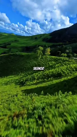 #alabanzas_cristianas #musicacristianatiktok #musicaparaelcorazon @creator search insights @#foryou 