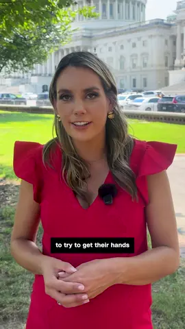 CNN congressional correspondent Lauren Fox explains how a law from the 1920s could help Senate Democrats on the Homeland Security Committee access to the Epstein files.