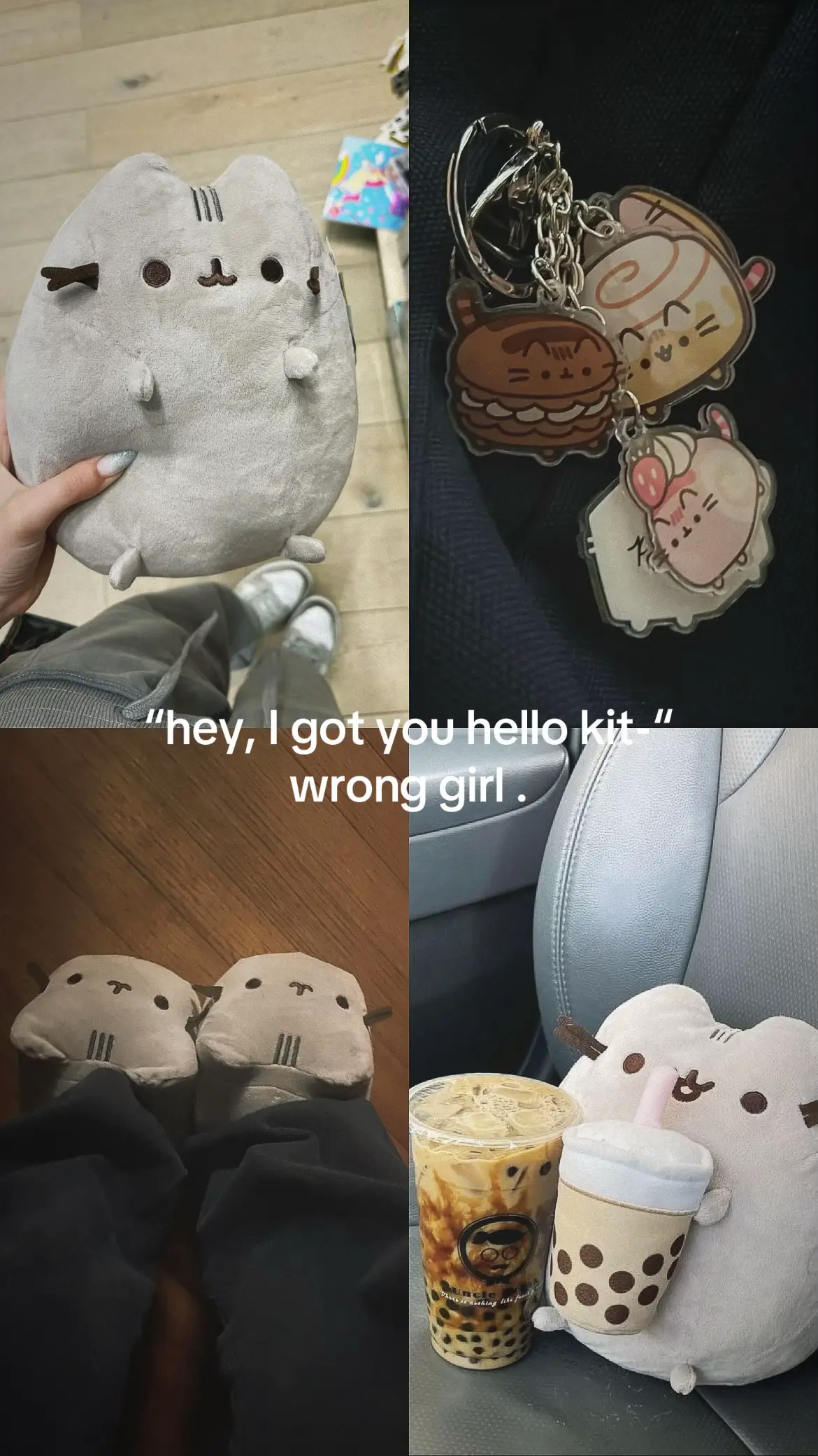 I love this obese cat 😢 #pusheen #pusheencat #pusheentok #goviral #foryoupage 