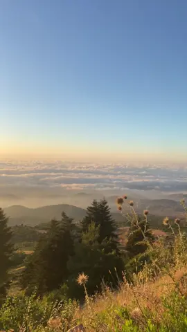 #ليكات #foryoupage #fyp #foryou #oussamaalkabbout #فنيدق #القموعة #الخنساء #حملني_عجناحك_يا_طير #lebanon #لا_تبخلو_عليي_بلايك_ومتابعة #🖤🥀 