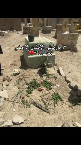 ربنا يرحمك يا أطيب وأحن خالتو 💔🕊️