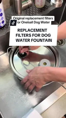 💦🐶👀💕Oneisall dog water fountain has upgraded my dog's hydration & these replacement filters make it easy to maintain the fountain! . This water fountain is better for your dog & easier for you! . linked the replacement filters for you . #replacementfilters #oneisall #dogwaterfountain 