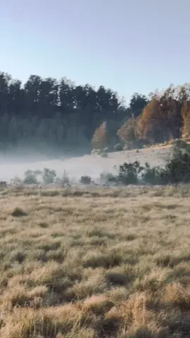 sunrise in sabana cikasur #argopuromountain #cikasurargopuro #sabanacikasur #argopuro 