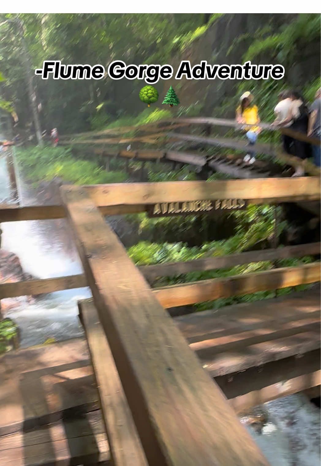 Hermoso lugar para disfrutar de un paseo panorámico por arroyos, pasarelas y escaleras, que ofrecen impresionantes vistas y cascadas. #flumegorge  #lostrivergorge @ #newhampshire  #lincoln  #thingstodoinboston 