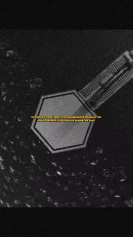 ZED X SDM - SOLITAIRE 