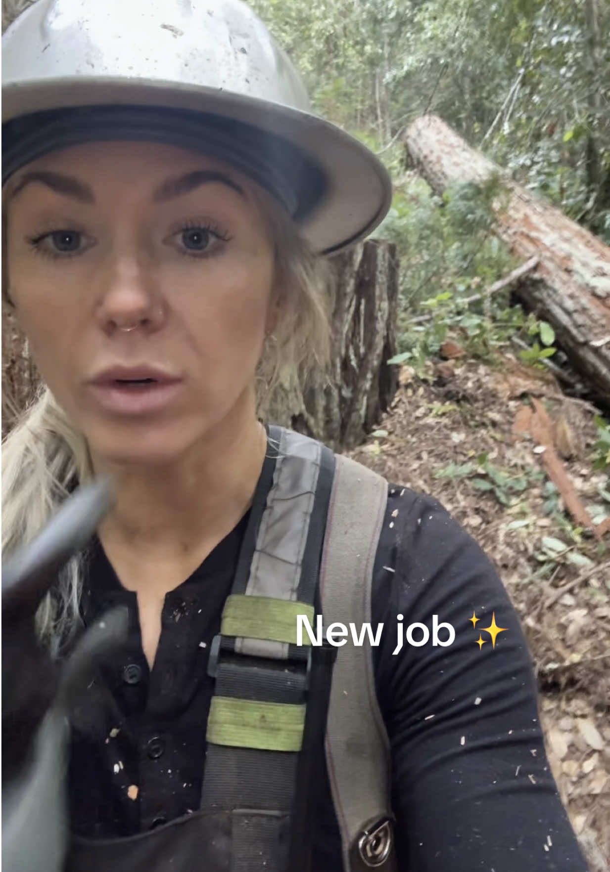 Little update! Finally out of the brush and in a great new spot. Decent ground and bar length trees 👌🏼  #timberfaller #logging #femalefaller #fyp 