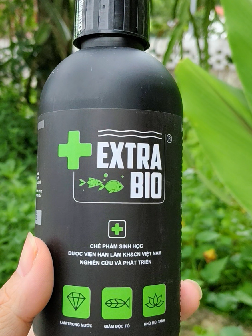 Vi sinh trong nước bể cá #cacanh #phukiencacanh90  #beca 