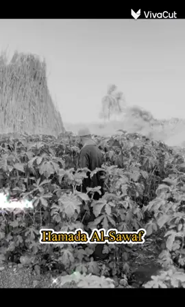 #خروف وعامل #اسد  #كداب وعاش الدور   